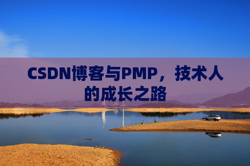 CSDN博客与PMP,技术人的成长之路