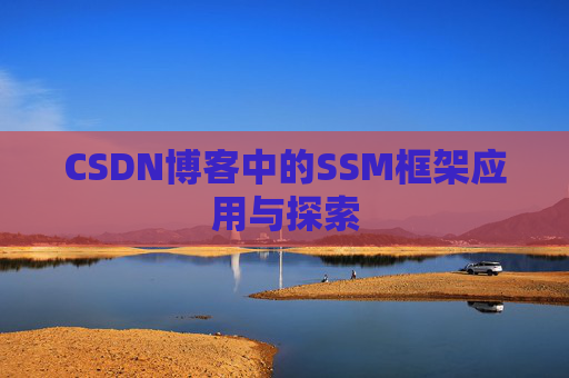 CSDN博客中的SSM框架应用与探索